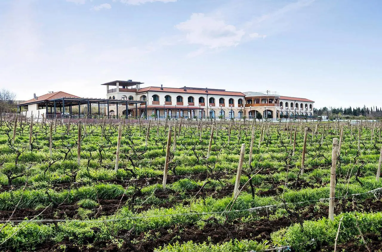 Akhasheni Wine Resort &Spa — Kakheti, Georgia