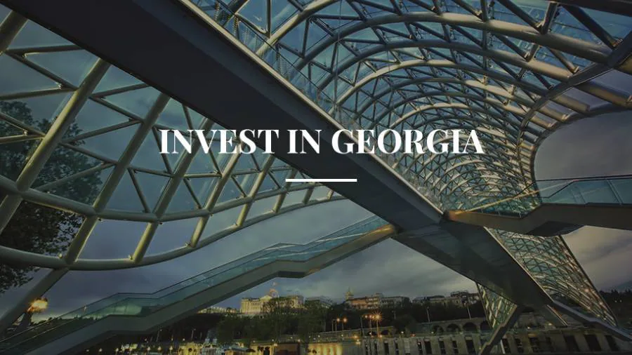 INVEST IN GEORGIA